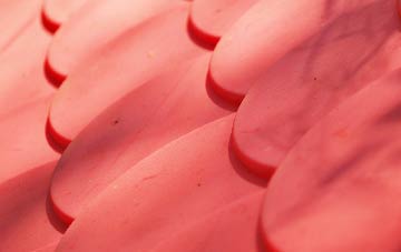 Buaile Nam Bodach plastic roof costs